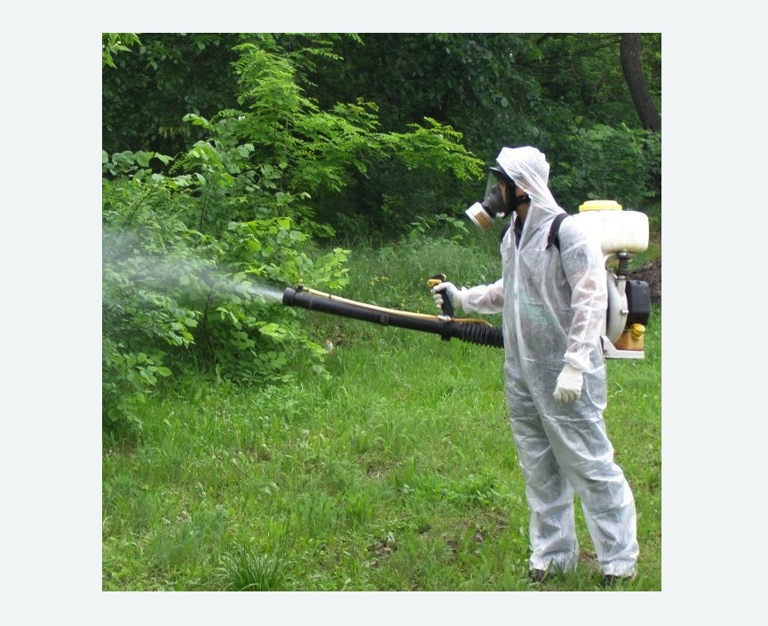 обработка территории от клещей в Восточном районе Москвы