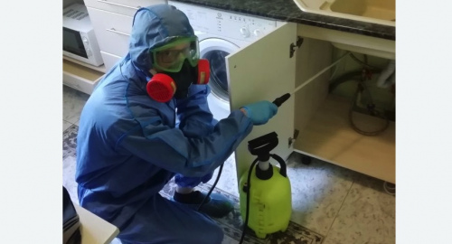 Уничтожение муравьев в квартире. Восточный