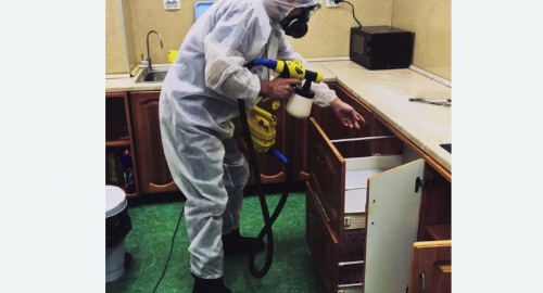 Уничтожение насекомых в квартире. Восточный