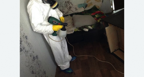 Обработка квартир от насекомых в Восточном районе Москвы