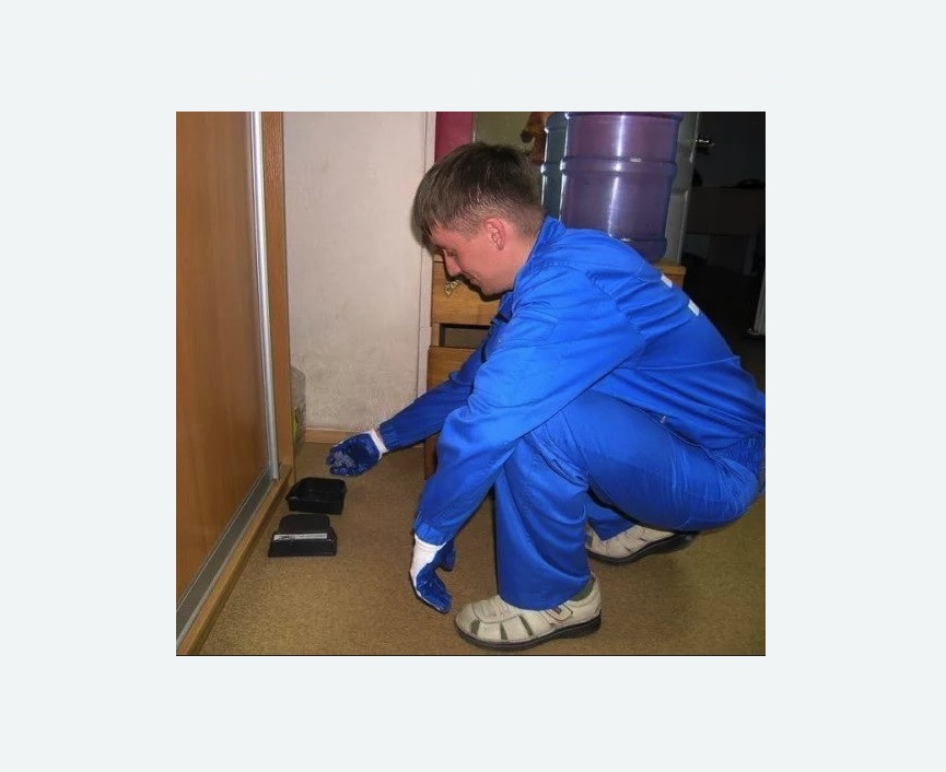 Дератизация крыс Дератизация крыс в Восточном районе Москвы