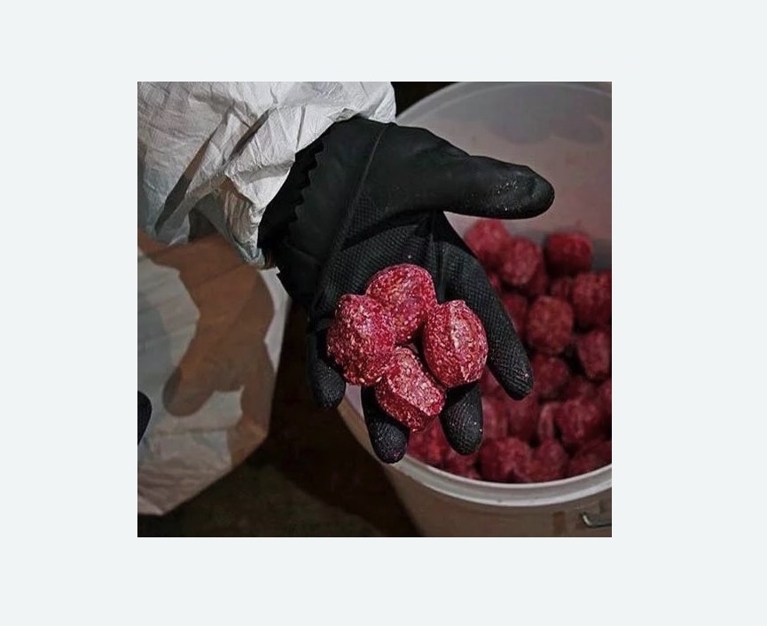 Обработка от крыс Обработка от крыс в Восточном районе Москвы