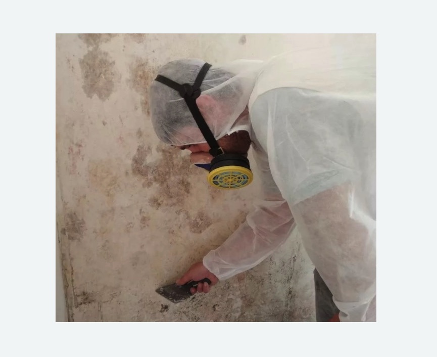 Обработка стен от плесени Обработка стен от плесени в Восточном районе Москвы