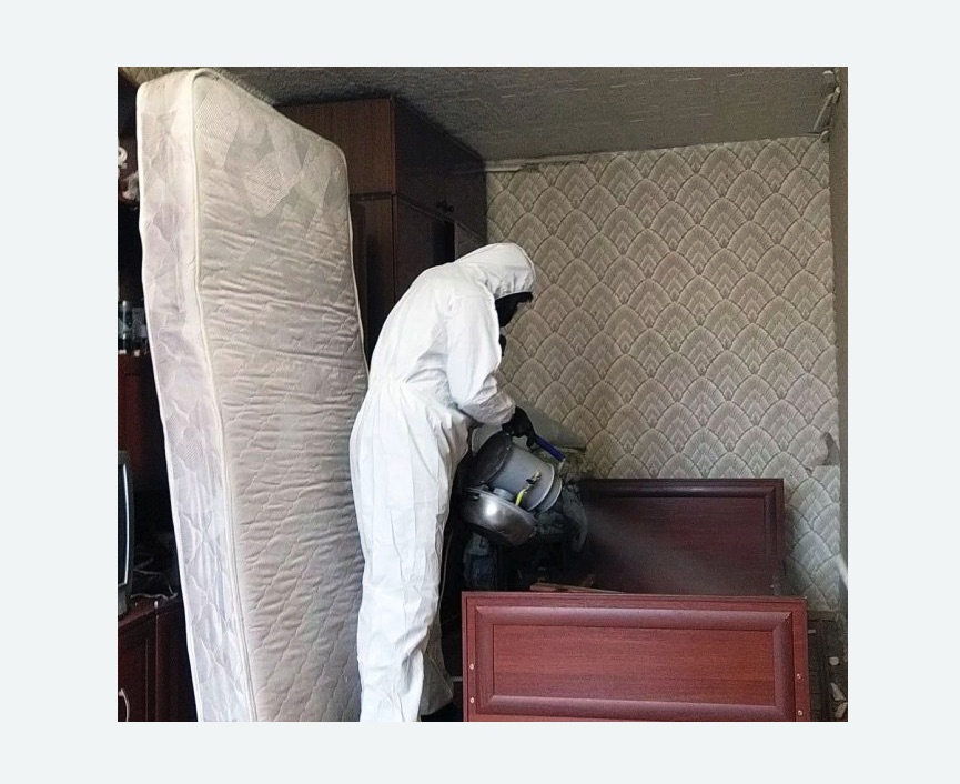 дезинфекция от клопов дезинфекция от клопов в Восточном районе Москвы