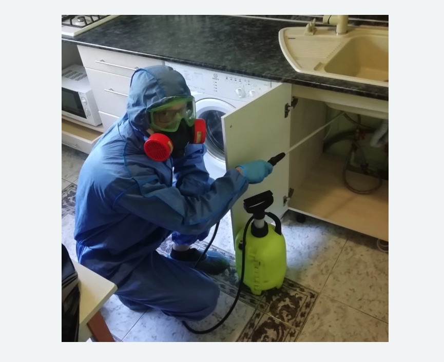 обработка от муравьев в квартире в Восточном районе Москвы