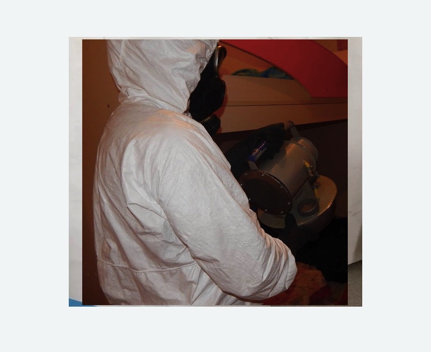 Дезинфекция от муравьев в Восточном районе Москвы