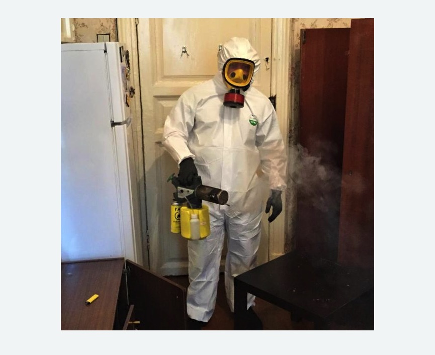 уничтожение муравьев в квартире в Восточном районе Москвы